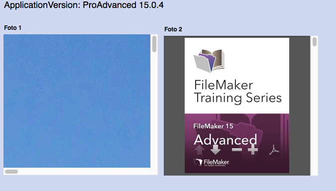 filemaker fmdiff filemaker fmdiff